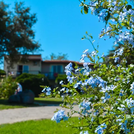 Club Atlantis ספריהיסאר