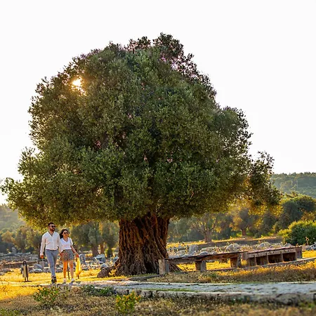 מלון Club Atlantis